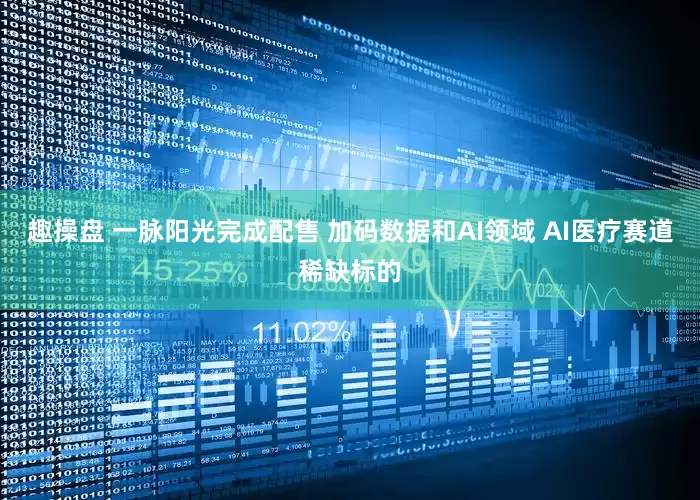 趣操盘 一脉阳光完成配售 加码数据和AI领域 AI医疗赛道稀缺标的