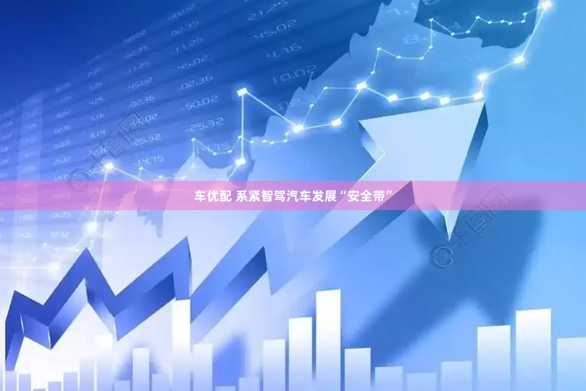 车优配 系紧智驾汽车发展“安全带”