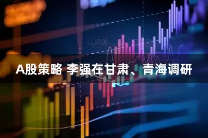 A股策略 李强在甘肃、青海调研